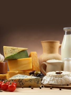 Süt Ürünleri