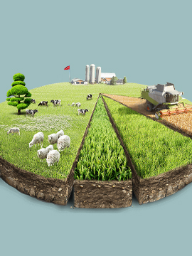 Tarım ve Hayvancılık